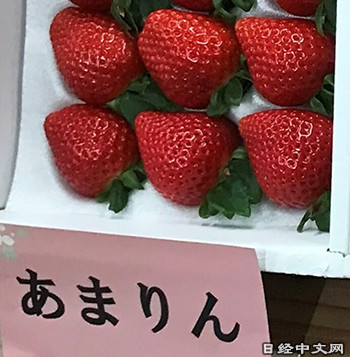 欧盟对阿里全球速卖通展开调查
